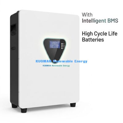 壁掛け型LiFePO4太陽光発電蓄電池 6000サイクル 25.6V/51.2V 家庭用バックアップ電源