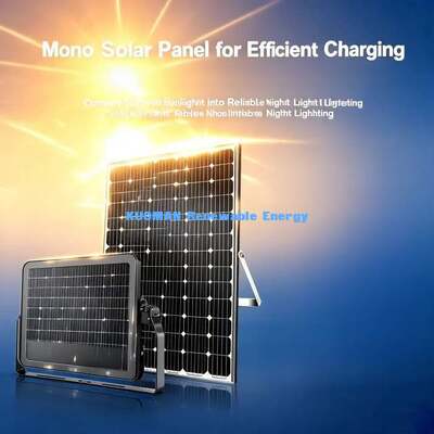 Remote Controlled Solar Courtyard Light High Lumen LED Weatherproof Outdoor Path Lawn Lamp