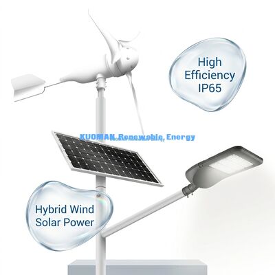 ソーラー風力ハイブリッドLED街路灯 IP65防水 12時間*365日稼働 100W 150W 200W 電源オプション