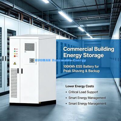Three Phase 100KWh Commercial ESS Battery Renewable Energy Storage To Lower Enterprise Carbon Footprint