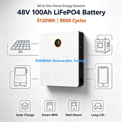 48V壁掛けリチウムバッテリー オプションBluetoothモバイルアプリ SOC温度データ監視